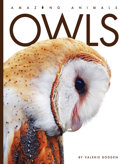 Title details for Owls by Valerie Bodden - Available